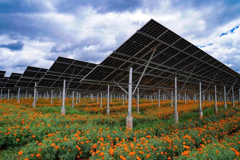 Parque solar en construcción en Colombia con paneles solares en instalación